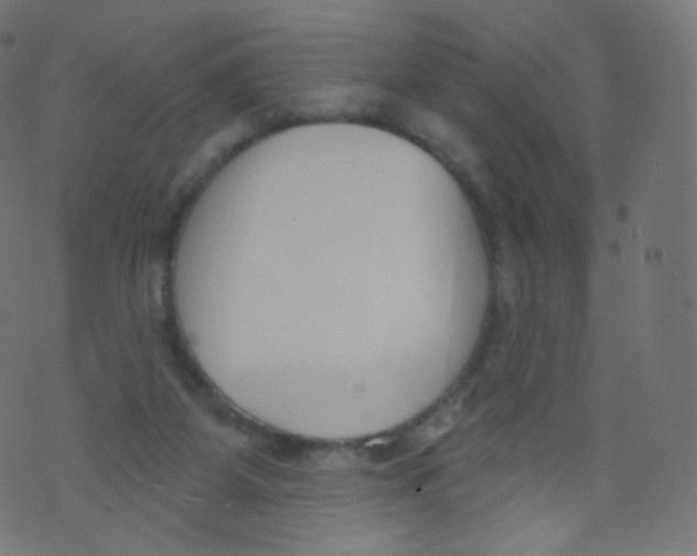 X0000073460115200608251741