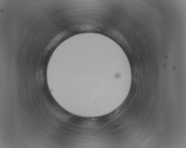 X0000073460116200608251741