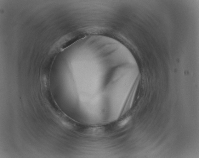 X0000073460117200608251741