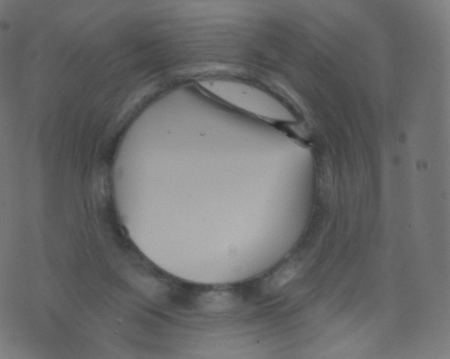 X0000073460119200608251741