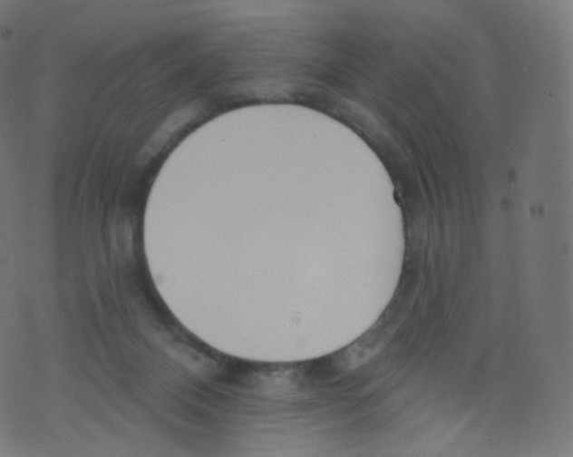 X0000073460120200608251741