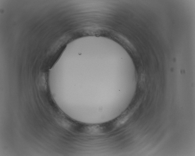 X0000073460121200608251741