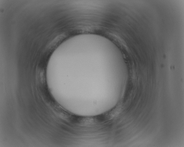 X0000073460123200608251741