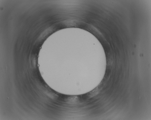 X0000073460124200608251741