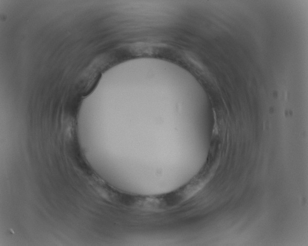 X0000073460125200608251741