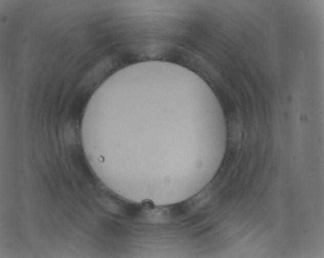 X0000073460126200608251741