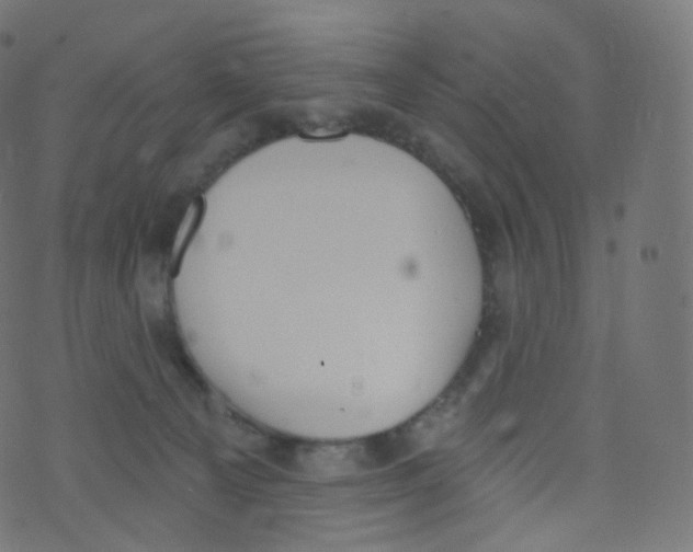 X0000073460129200608251741