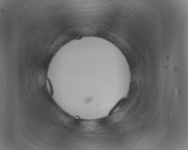 X0000073460133200608251741