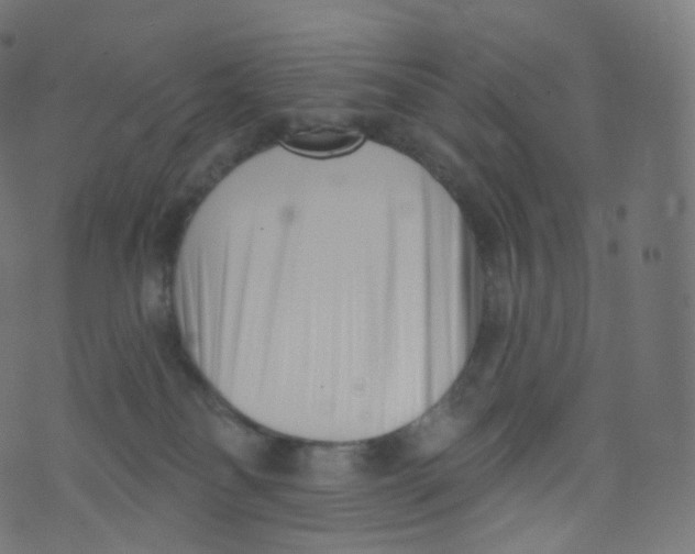 X0000073460134200608251741