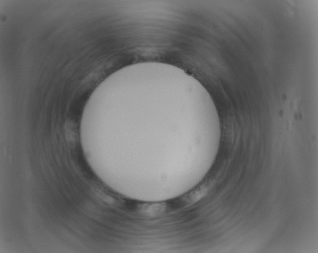 X0000073460135200608251741