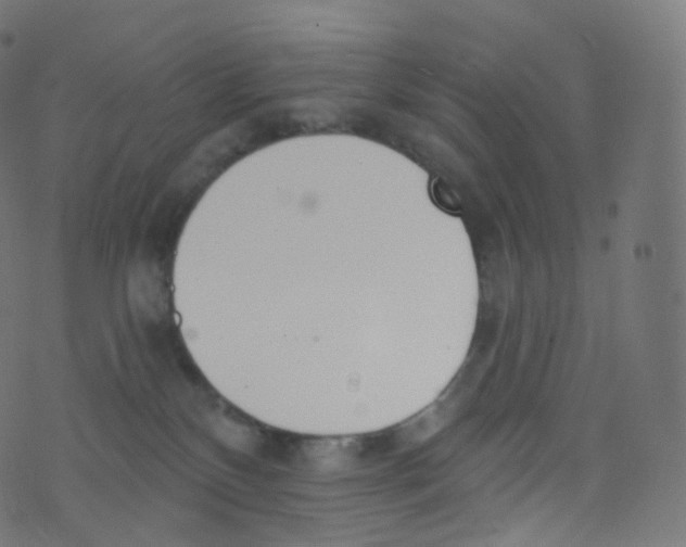 X0000073460136200608251741