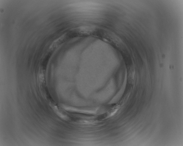 X0000073460137200608251741