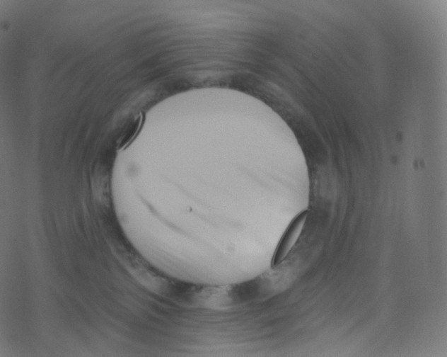 X0000073460138200608251741