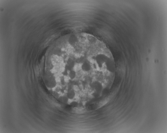 X0000073460139200608251741