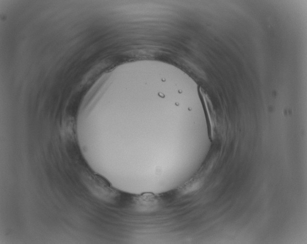 X0000073460141200608251741