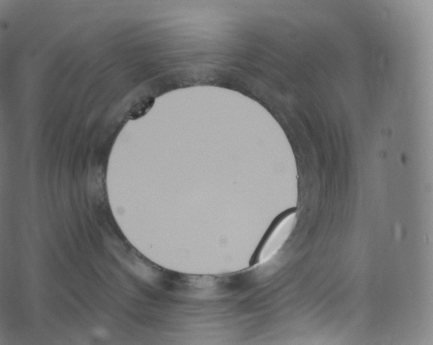 X0000073460144200608251741