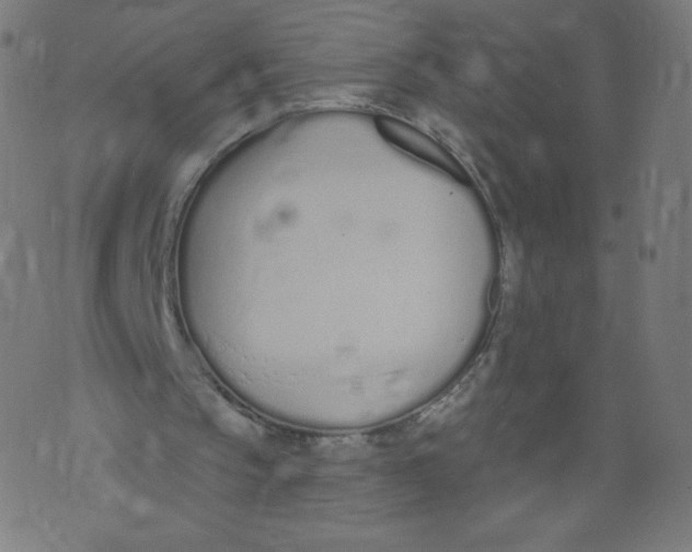 X0000073460145200608251740