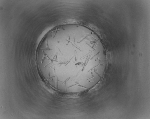 X0000073460147200608251740