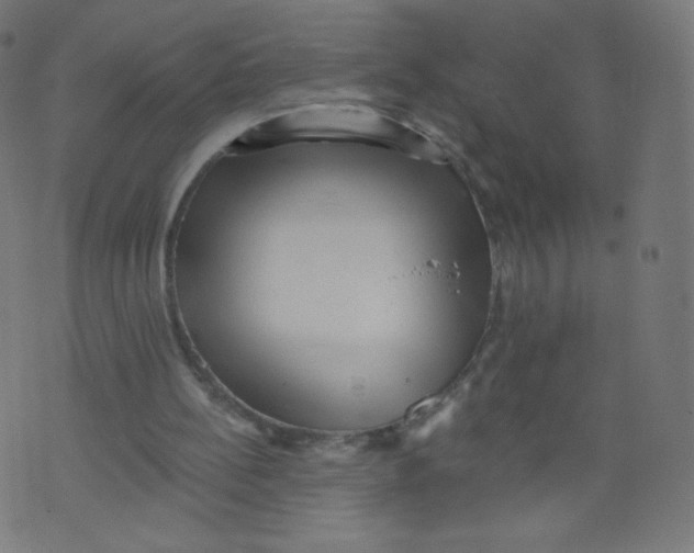 X0000073460148200608251740