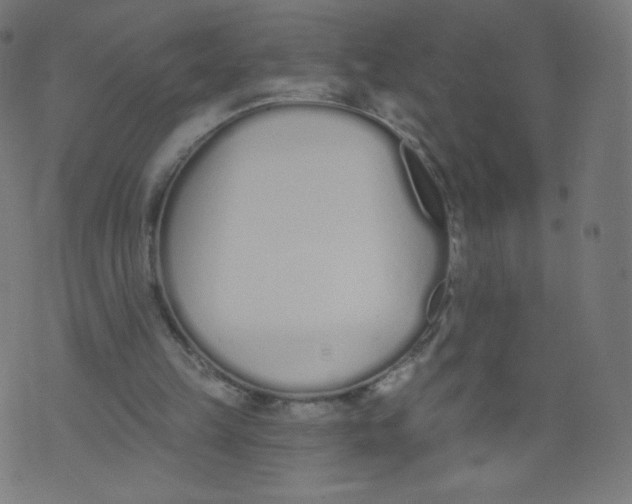 X0000073460149200608251740