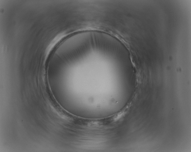 X0000073460152200608251740