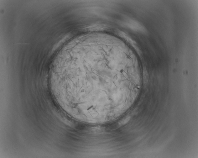 X0000073460153200608251740