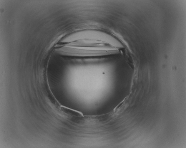 X0000073460154200608251740