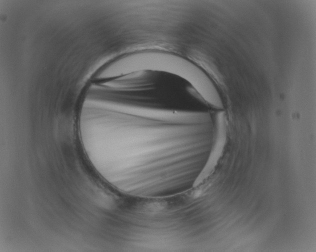 X0000073460156200608251740