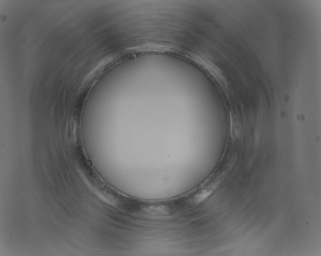 X0000073460157200608251740