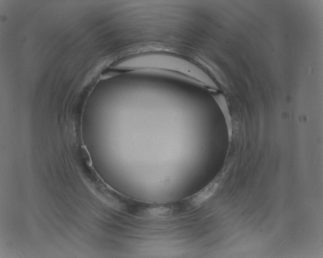 X0000073460158200608251740