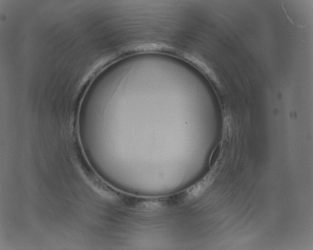 X0000073460159200608251740