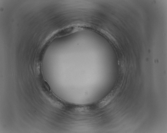 X0000073460160200608251740