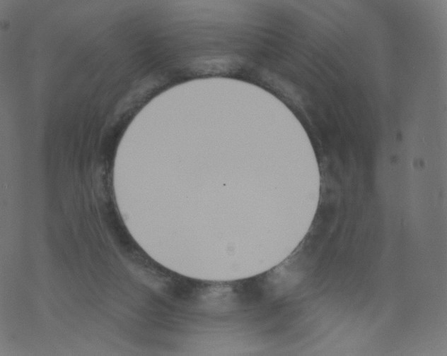 X0000073460162200608251741