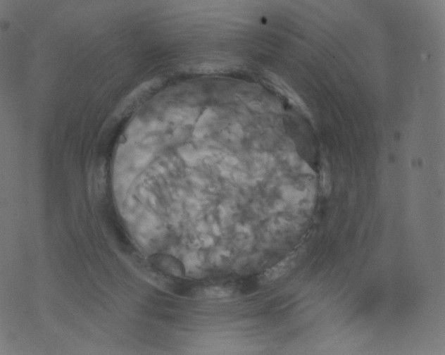 X0000073460163200608251741