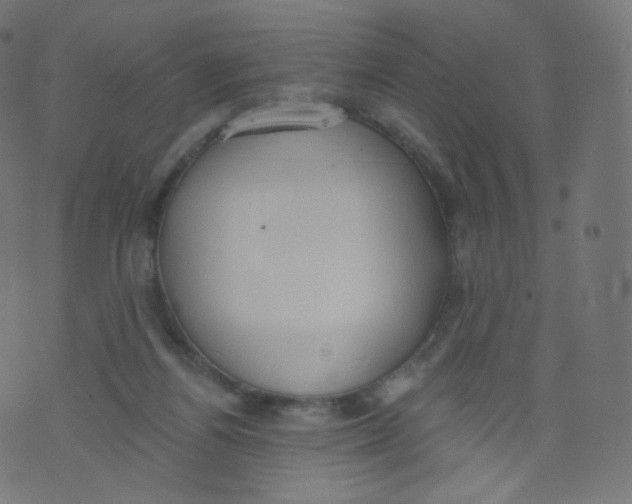 X0000073460164200608251741