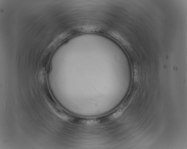 X0000073460165200608251741