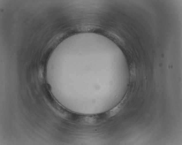 X0000073460166200608251741