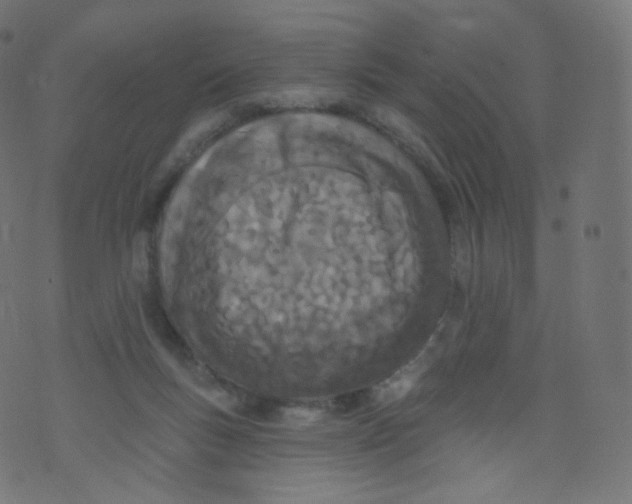 X0000073460167200608251741