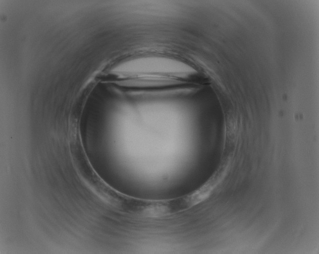 X0000073460168200608251741