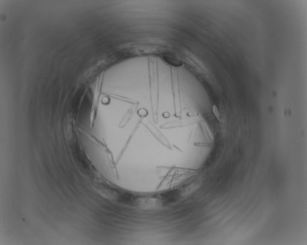 X0000073460169200608251741