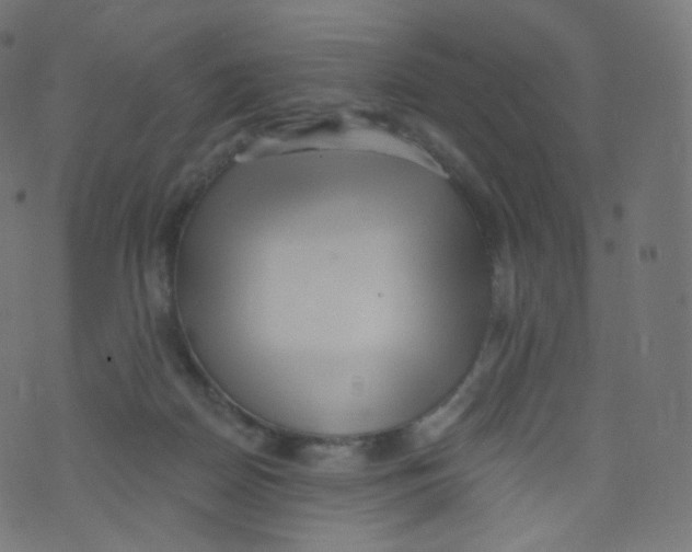 X0000073460170200608251741