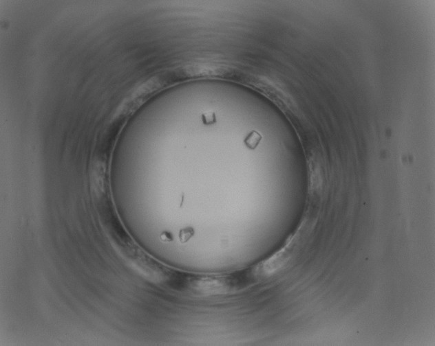 X0000073460171200608251741