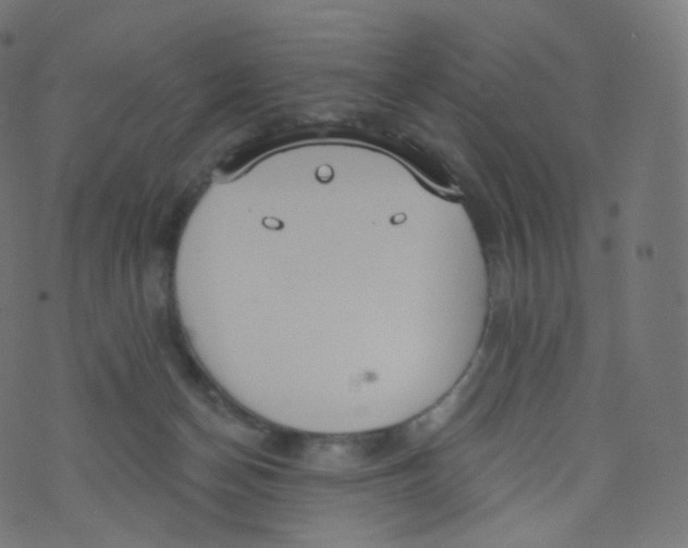 X0000073460174200608251741