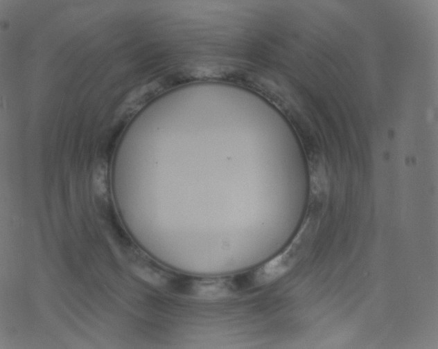 X0000073460175200608251741