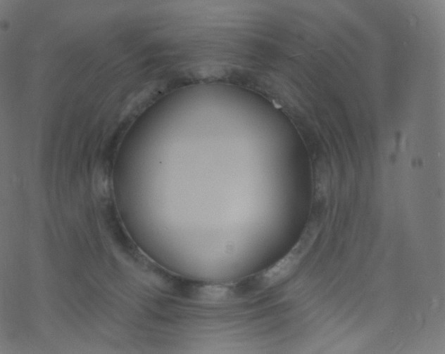 X0000073460176200608251741