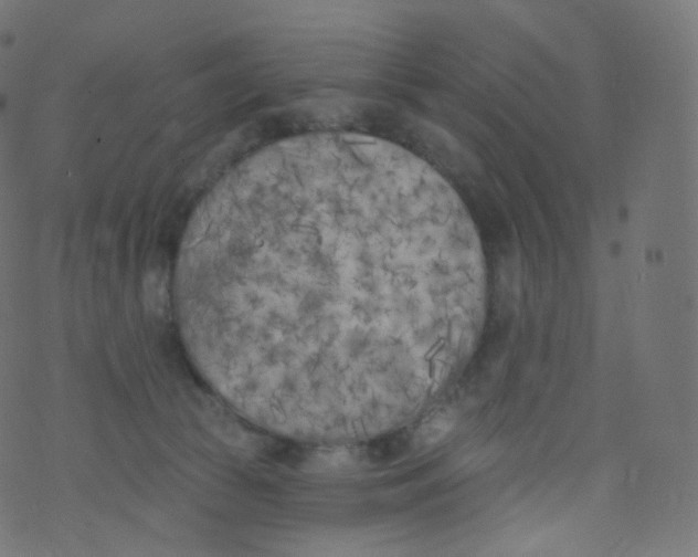 X0000073460177200608251741