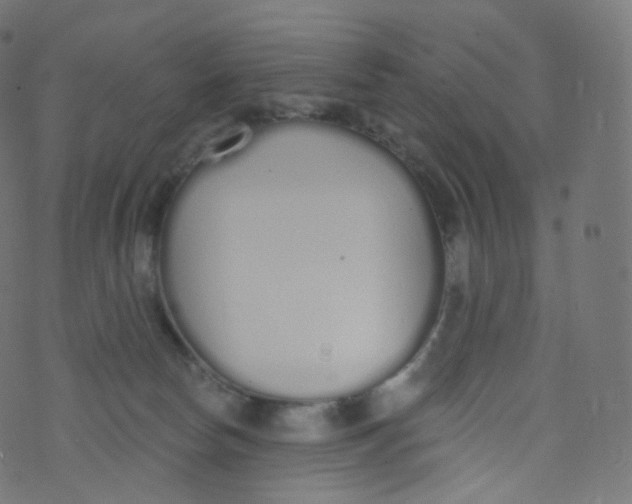 X0000073460178200608251741