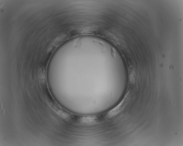 X0000073460179200608251741