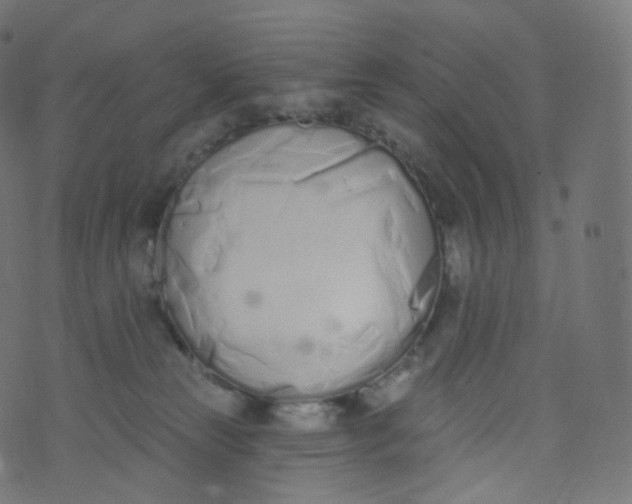 X0000073460181200608251741