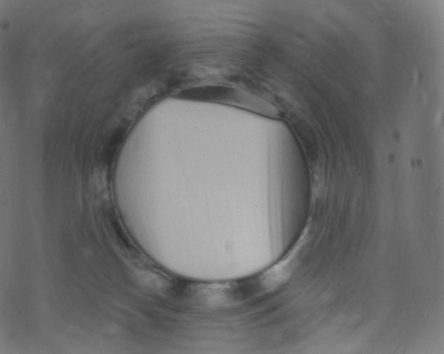 X0000073460182200608251741